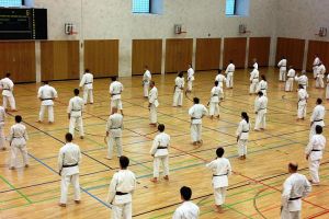 Karate-Lehrgang Freiburg 18.12.2011