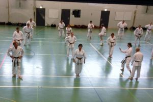 Karate Lehrgang Donaueschingen 28. & 29.09.2012