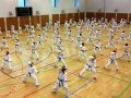 karate lehrgang 20121009 1293472458