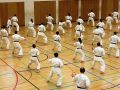 karate lehrgang 20121009 2083075292