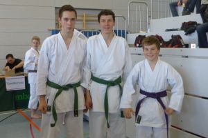 Iffezheim Südwestdeutsche Meisterschaft Karate Mai 2013